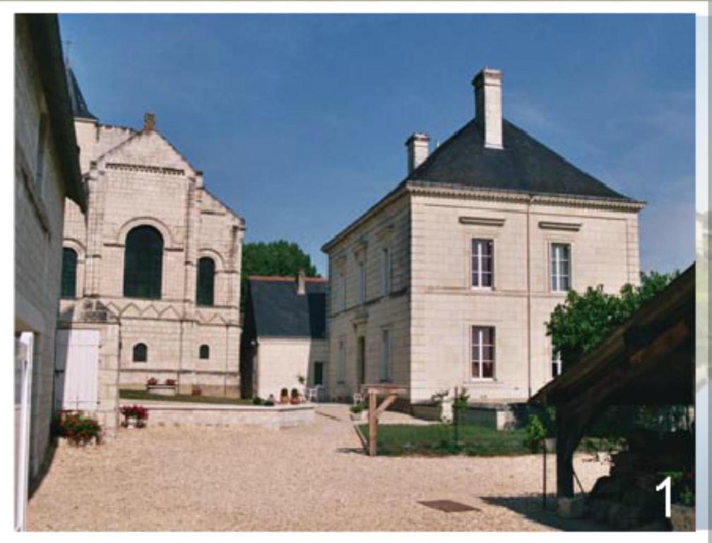 Domaine Du Heron Chinon Eksteriør bilde